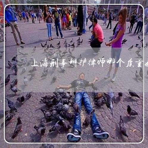 上海刑事辩护律师哪个质量好/2023032989373