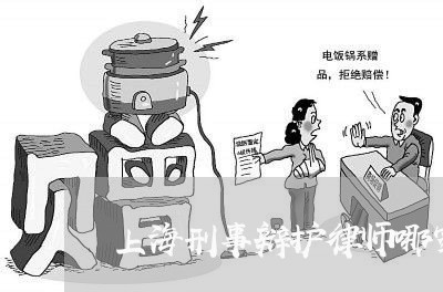 上海刑事辩护律师哪家比较好/2023032970484