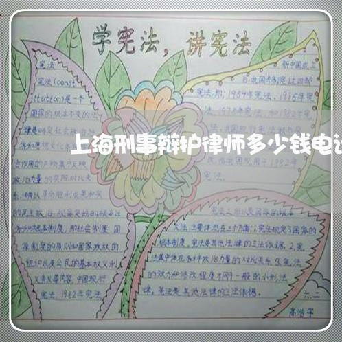 上海刑事辩护律师多少钱电话/2023032916937