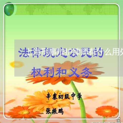 上海刑事辩护律师有什么用处/2023032905938