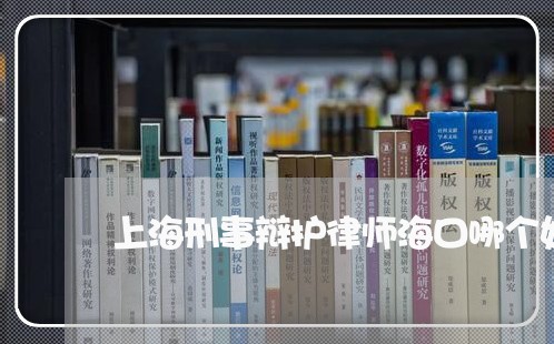 上海刑事辩护律师海口哪个好/2023032938280