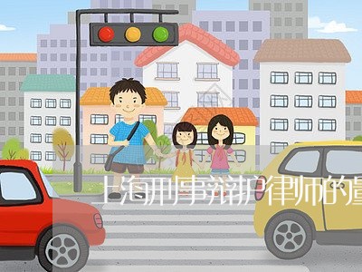 上海刑事辩护律师的量刑之辩/2023032937158 上海刑事辩护律师的量刑之辩/2023032937158