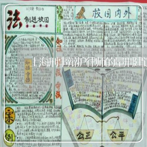上海刑事辩护律师的量刑建议/2023032956949 上海刑事辩护律师的量刑建议/2023032956949