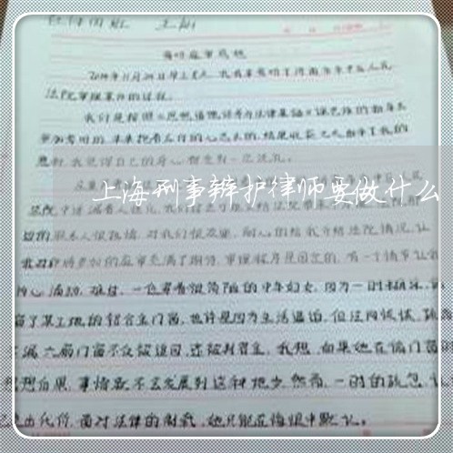 上海刑事辩护律师要做什么/2023031585137