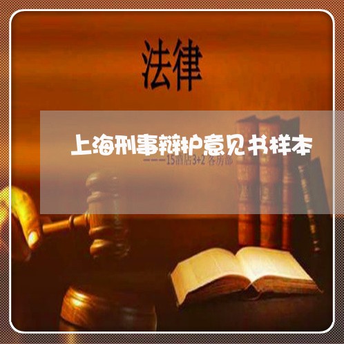 上海刑事辩护意见书样本/2023022635068
