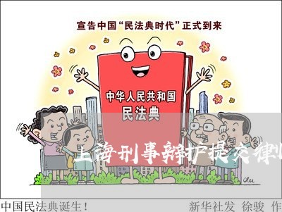 上海刑事辩护提交律师手续/2023031506959 上海刑事辩护提交律师手续/2023031506959