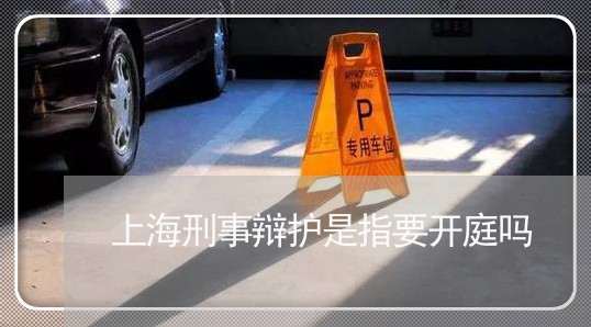 上海刑事辩护是指要开庭吗/2023031551593