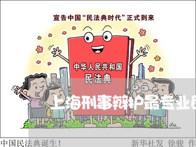 上海刑事辩护最专业的律师团队/2023060269493 上海刑事辩护最专业的律师团队/2023060269493