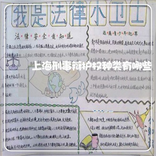 上海刑事辩护权种类有哪些/2023031508461