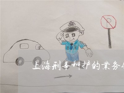 上海刑事辩护的业务领域/2023022649472 上海刑事辩护的业务领域/2023022649472