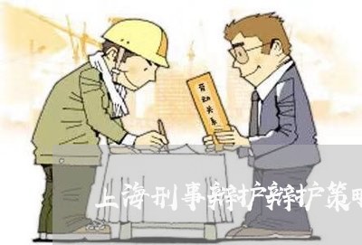 上海刑事辩护辩护策略的选择/2023032949371