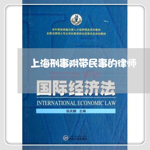 上海刑事附带民事的律师/2023022673593 上海刑事附带民事的律师/2023022673593