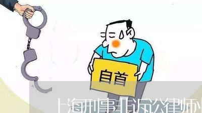 上海刑事非诉讼律师业务/2023022635058 上海刑事非诉讼律师业务/2023022635058