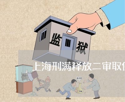 上海刑满释放二审取保候审/2023031517168 上海刑满释放二审取保候审/2023031517168
