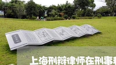 上海刑辩律师在刑事和解中作用/2023060294159