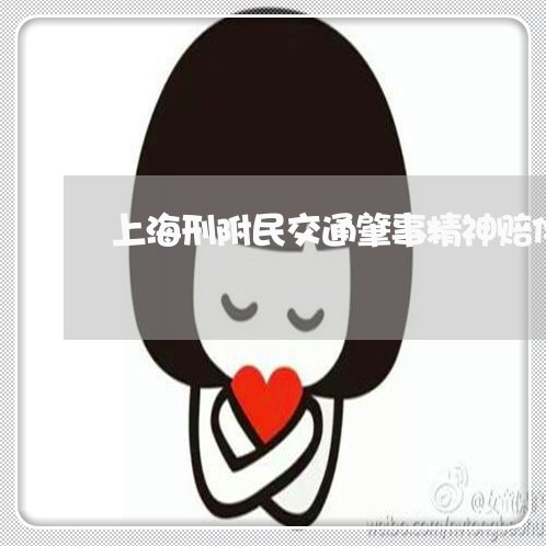 上海刑附民交通肇事精神赔偿/2023032928364 上海刑附民交通肇事精神赔偿/2023032928364