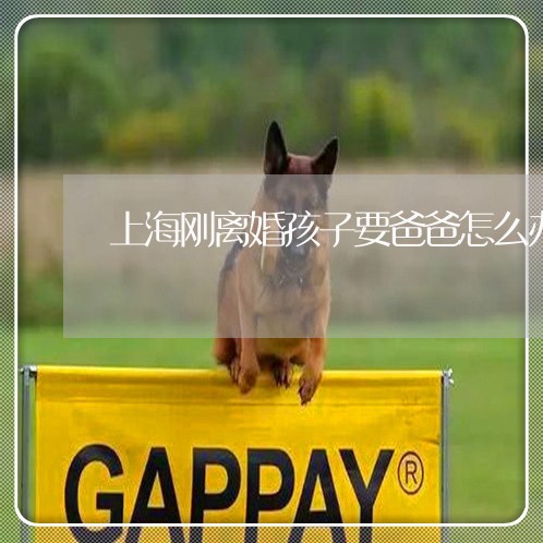 上海刚离婚孩子要爸爸怎么办/2023032974836 上海刚离婚孩子要爸爸怎么办/2023032974836