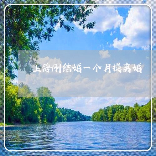 上海刚结婚一个月提离婚/2023022662713 上海刚结婚一个月提离婚/2023022662713
