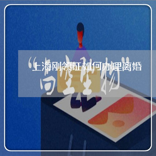上海刚领证如何办理离婚/2023022693717 上海刚领证如何办理离婚/2023022693717