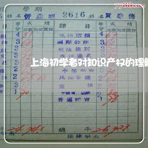 上海初学者对知识产权的理解/2023032982512 上海初学者对知识产权的理解/2023032982512