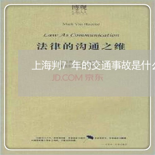 上海判7年的交通事故是什么/2023032995736