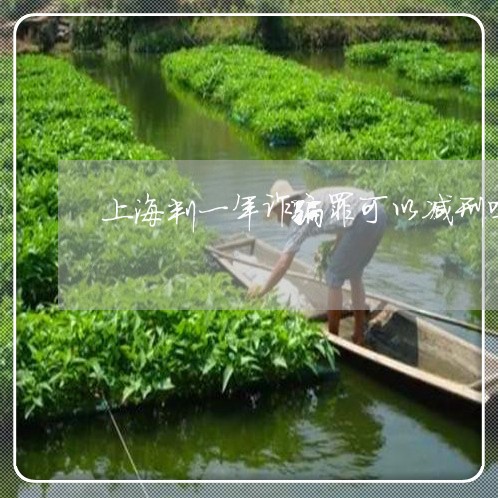 上海判一年诈骗罪可以减刑吗/2023032982606