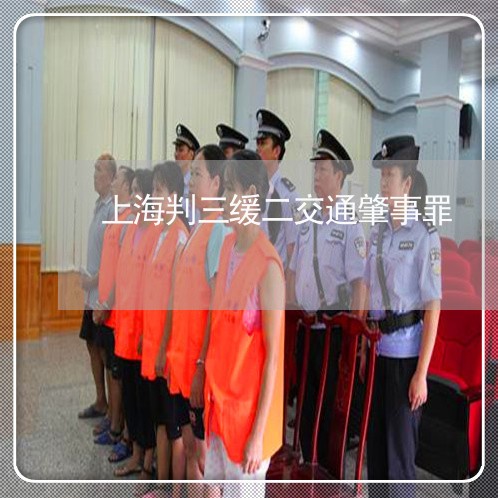 上海判三缓二交通肇事罪/2023022604020 上海判三缓二交通肇事罪/2023022604020