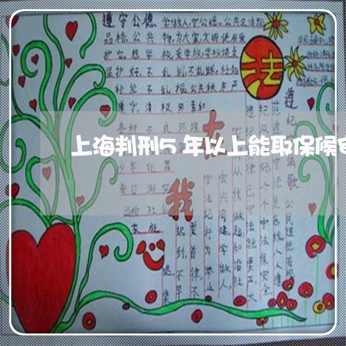 上海判刑5年以上能取保候审吗/2023060250402