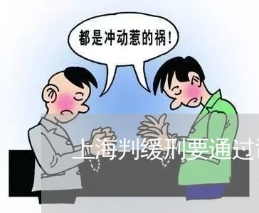 上海判缓刑要通过司法