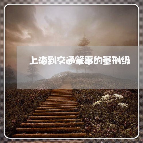 上海到交通肇事的量刑级/2023022569305 上海到交通肇事的量刑级/2023022569305