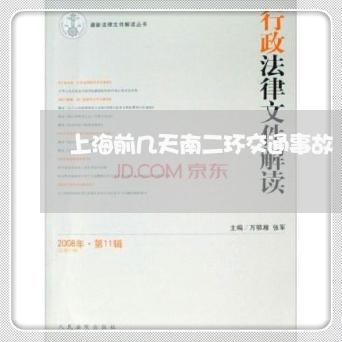 上海前几天南二环交通事故/2023031471713 上海前几天南二环交通事故/2023031471713