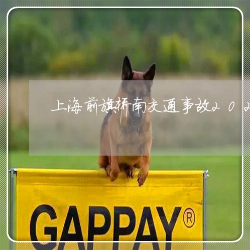 上海前旗桥南交通事故2020/2023060338281 上海前旗桥南交通事故2020/2023060338281