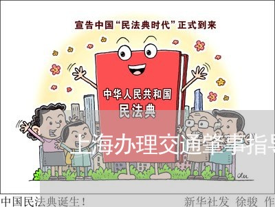 上海办理交通肇事指导意见/2023031578314 上海办理交通肇事指导意见/2023031578314