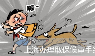 上海办理取保候审手续怎么填/2023032973973 上海办理取保候审手续怎么填/2023032973973
