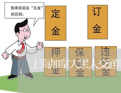 上海加拿大黑人交通事故/2023022563503