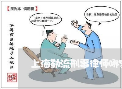 上海勒流刑事律师哪家专业/2023031550369