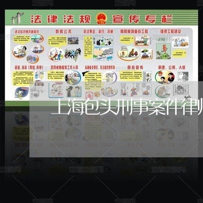 上海包头刑事案件律师排名/2023031505826
