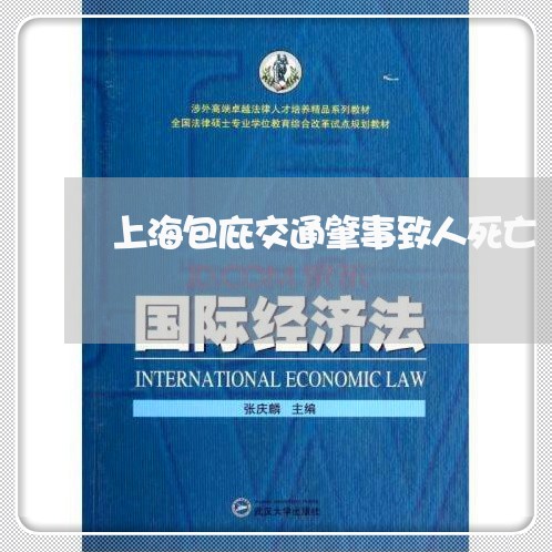 上海包庇交通肇事致人死亡/2023031561484 上海包庇交通肇事致人死亡/2023031561484