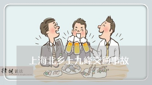 上海北乡上九峰交通事故/2023022617140 上海北乡上九峰交通事故/2023022617140