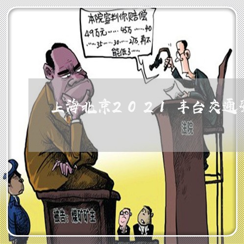 上海北京2021丰台交通肇事/2023060315960 上海北京2021丰台交通肇事/2023060315960