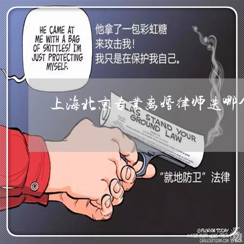 上海北京专业离婚律师选哪个/2023032994806