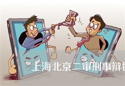 上海北京二审刑事辩护词/2023022612714