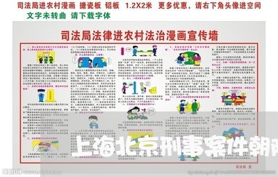 上海北京刑事案件朝阳律师/2023031569602 上海北京刑事案件朝阳律师/2023031569602