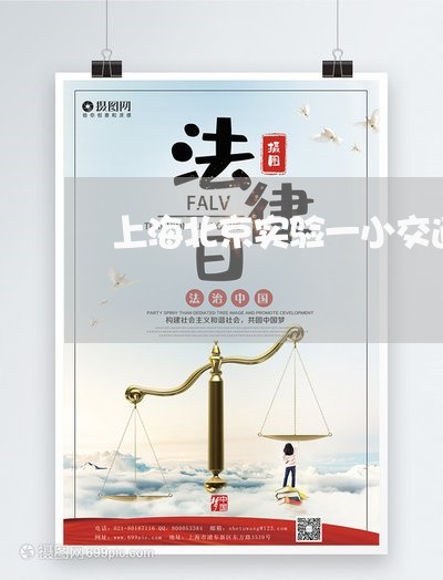上海北京实验一小交通事故/2023031562682