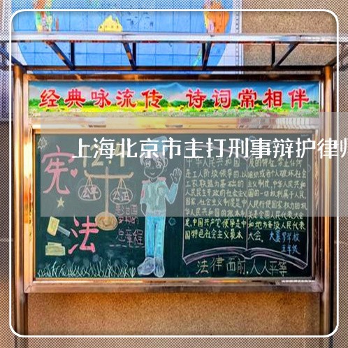 上海北京市主打刑事辩护律师/2023032940452