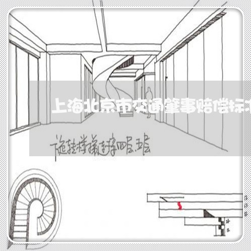 上海北京市交通肇事赔偿标准/2023032904725 上海北京市交通肇事赔偿标准/2023032904725