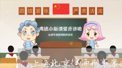 上海北京律师刑事案件出庭函/2023032905946