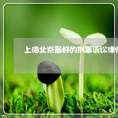上海北京最好的刑事诉讼律师/2023032904604