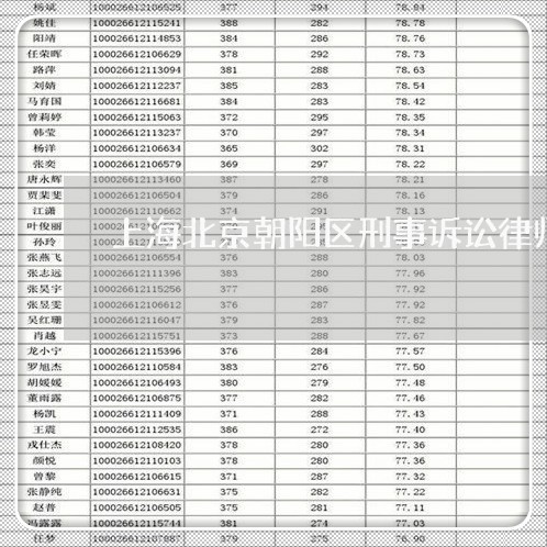 上海北京朝阳区刑事诉讼律师所/2023060235140