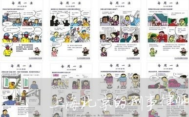 上海北京的刑事律师咨询/2023022605138